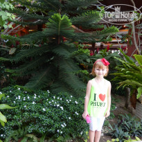 фото из отзыва ID 898309