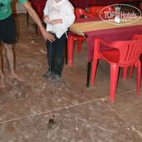 фото из отзыва ID 898418