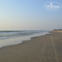 фото из отзыва ID 898418