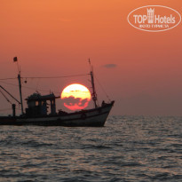 фото из отзыва ID 898418