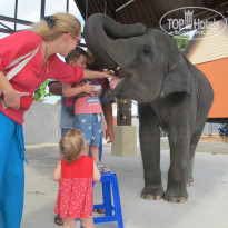 фото из отзыва ID 898464