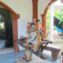 фото из отзыва ID 898464