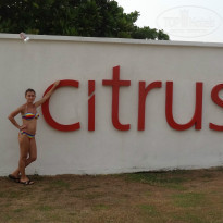 фото из отзыва ID 898591