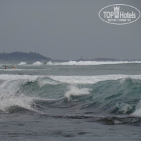 фото из отзыва ID 898591