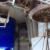 фото из отзыва ID 898612