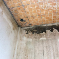 фото из отзыва ID 898612