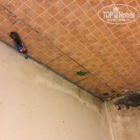 фото из отзыва ID 898612