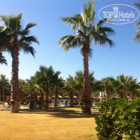 фото из отзыва ID 898720