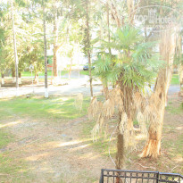 фото из отзыва ID 898768