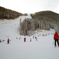 фото из отзыва ID 898921