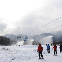 фото из отзыва ID 898921