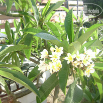 фото из отзыва ID 898964