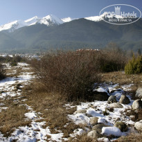 фото из отзыва ID 898921