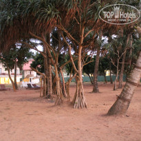 фото из отзыва ID 898390