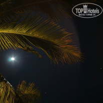 фото из отзыва ID 898586