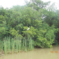 фото из отзыва ID 899103