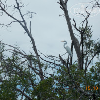 фото из отзыва ID 899103