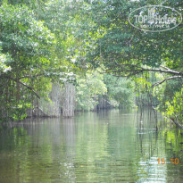 фото из отзыва ID 899103