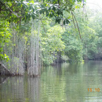 фото из отзыва ID 899103