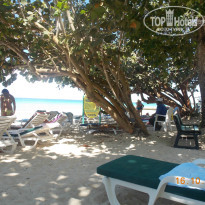 фото из отзыва ID 899103