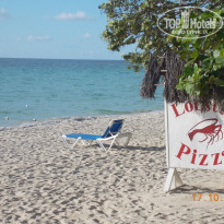 фото из отзыва ID 899103