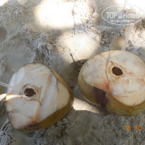 фото из отзыва ID 899103