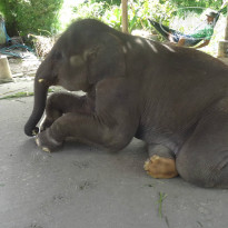 фото из отзыва ID 899143