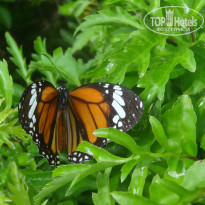 фото из отзыва ID 899143