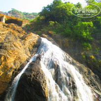 фото из отзыва ID 899235