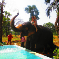 фото из отзыва ID 899235