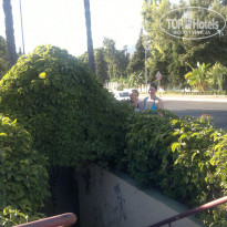 фото из отзыва ID 899299