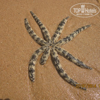 фото из отзыва ID 899313