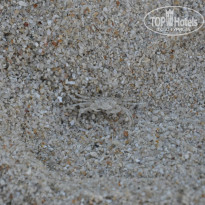 фото из отзыва ID 899316