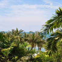 фото из отзыва ID 899316