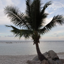 фото из отзыва ID 899316