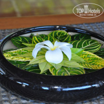 фото из отзыва ID 899316