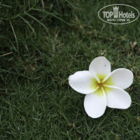 фото из отзыва ID 899361