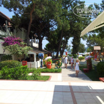 фото из отзыва ID 899371