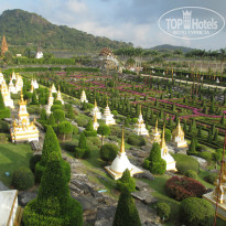 фото из отзыва ID 899385