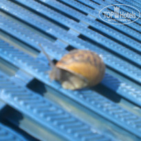 фото из отзыва ID 899426