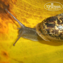 фото из отзыва ID 899426