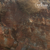 фото из отзыва ID 899426