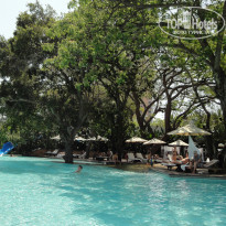 фото из отзыва ID 899440