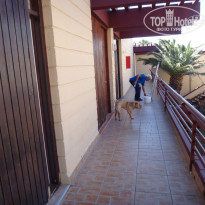 фото из отзыва ID 899446