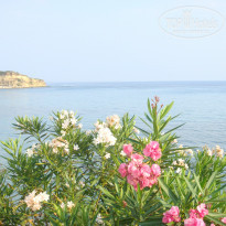 фото из отзыва ID 899518