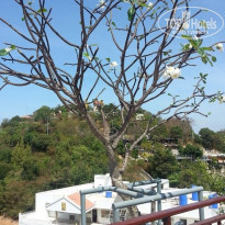 фото из отзыва ID 899596