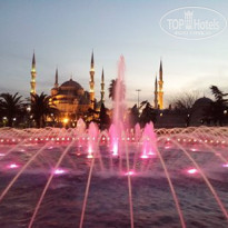 фото из отзыва ID 899714