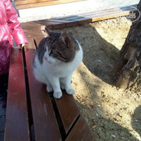 фото из отзыва ID 899714