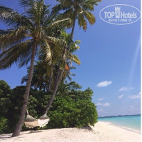 фото из отзыва ID 899903