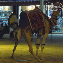 фото из отзыва ID 899920